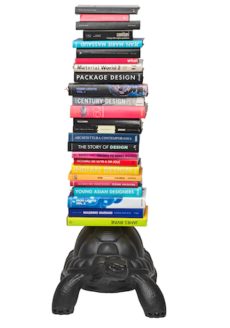 Turtle Carry Bookcase