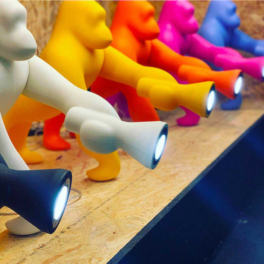 Kong XS