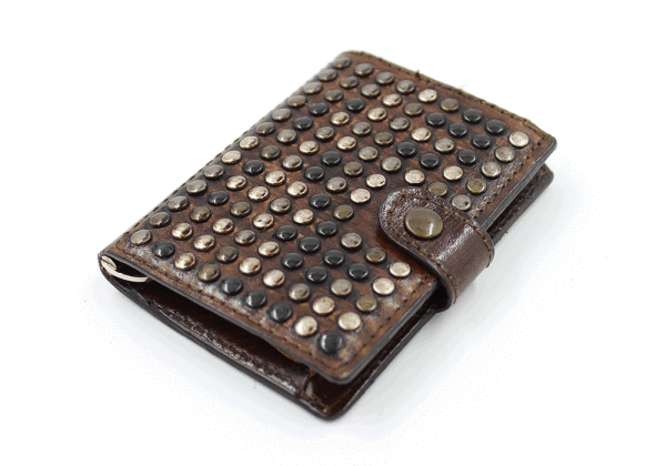 Hong Kong Brown iClutch + Coins