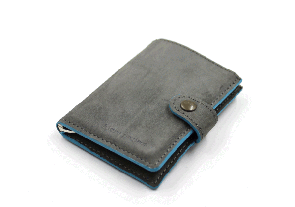 Colored Grey iClutch + Coins