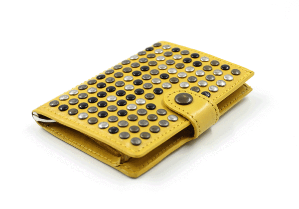 Hong Kong Yellow iClutch + Coins