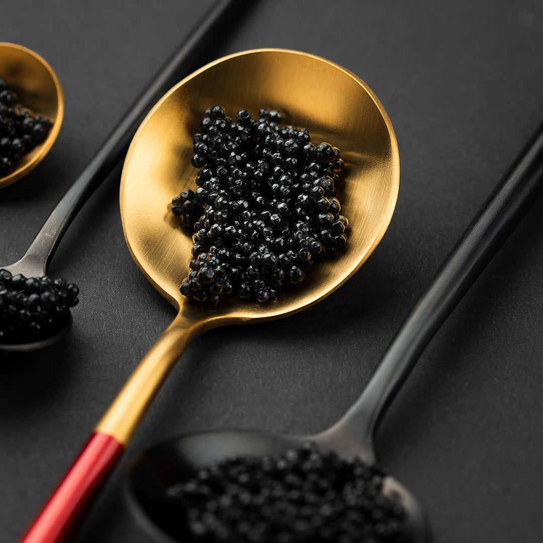 Calvisius Caviar