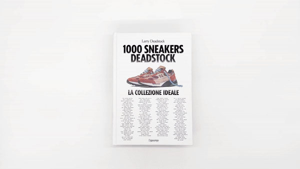 1000 Sneakers Deadstock. Ediz. italiana | Larry Deadstock & François Chevalier