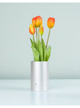 A.D.2084 Memories of Tulip Scent Arancione – Sottovaso Profumato | Nodito