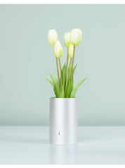 A.D.2084 Memories of Tulip Scent  Bianco– Sottovaso Profumato | Nodito