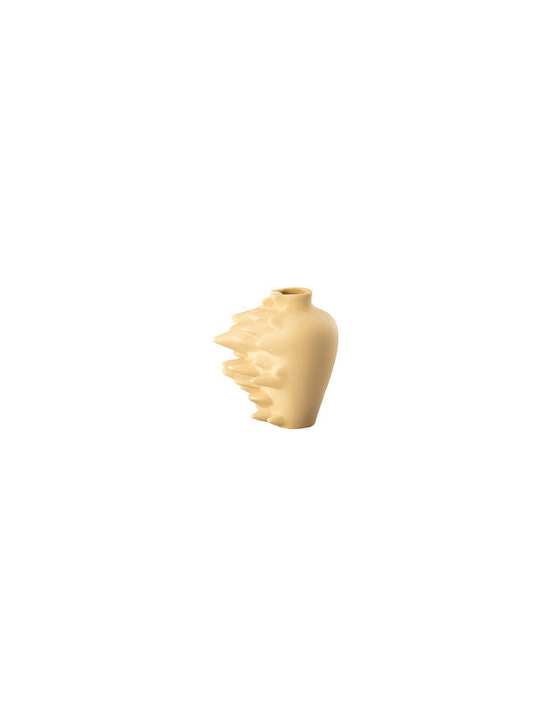 10573176701271_1080x1450_20260911T115037_212291Z.jpg