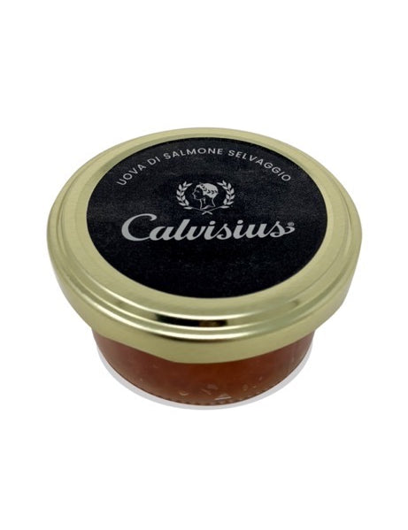 16803-14970-uova_di_salmone_calvisius_copia_-_dimensioni_medie_-_dimensioni_medie.jpg