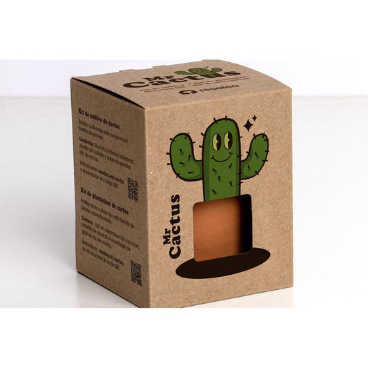 Mr Cactus Terracotta