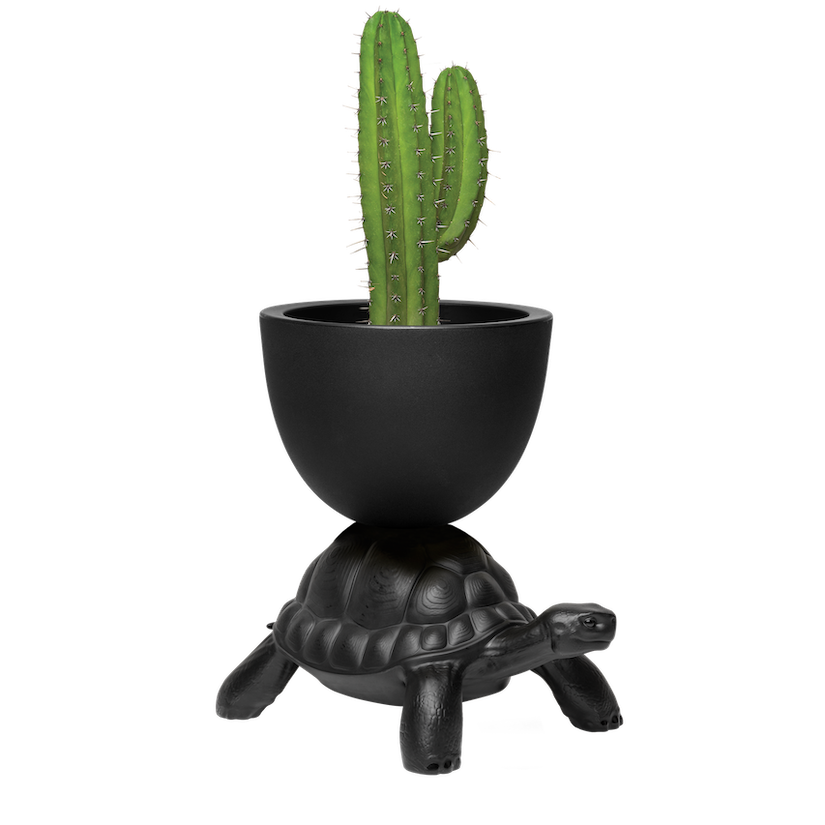 Turtle Carry Vase and Champagne Cooler - Black