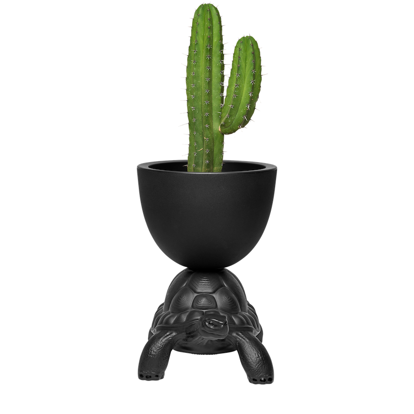 Turtle Carry Vase and Champagne Cooler - Black