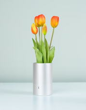 A.D.2084 Memories of Tulip Scent Arancione – Sottovaso Profumato | Nodito