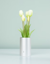 A.D.2084 Memories of Tulip Scent  Bianco– Sottovaso Profumato | Nodito