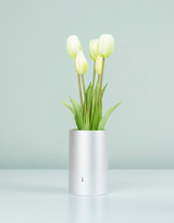 A.D.2084 Memories of Tulip Scent  Bianco– Sottovaso Profumato | Nodito