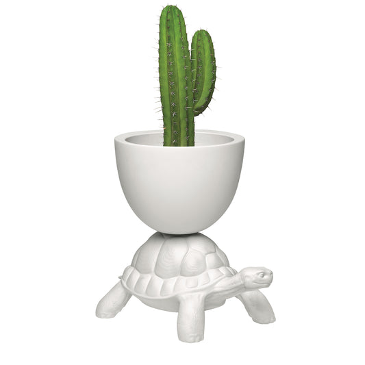 Turtle Carry Planter and Champagne Cooler - White