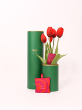 Wish Ever After – Elf Was Here | Tulip artificiale profumato | Nodito