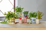 Flower Pot 25 Thin-Stripes – Vaso in lana impermeabile design | Aveva