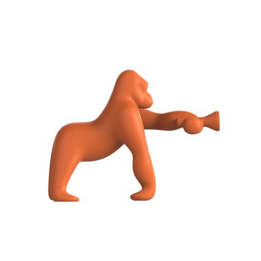 Kong XS