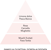 L'Essenza -Diamante Rosa