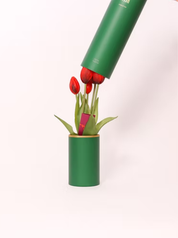 Wish Ever After – Elf Was Here | Tulip artificiale profumato | Nodito