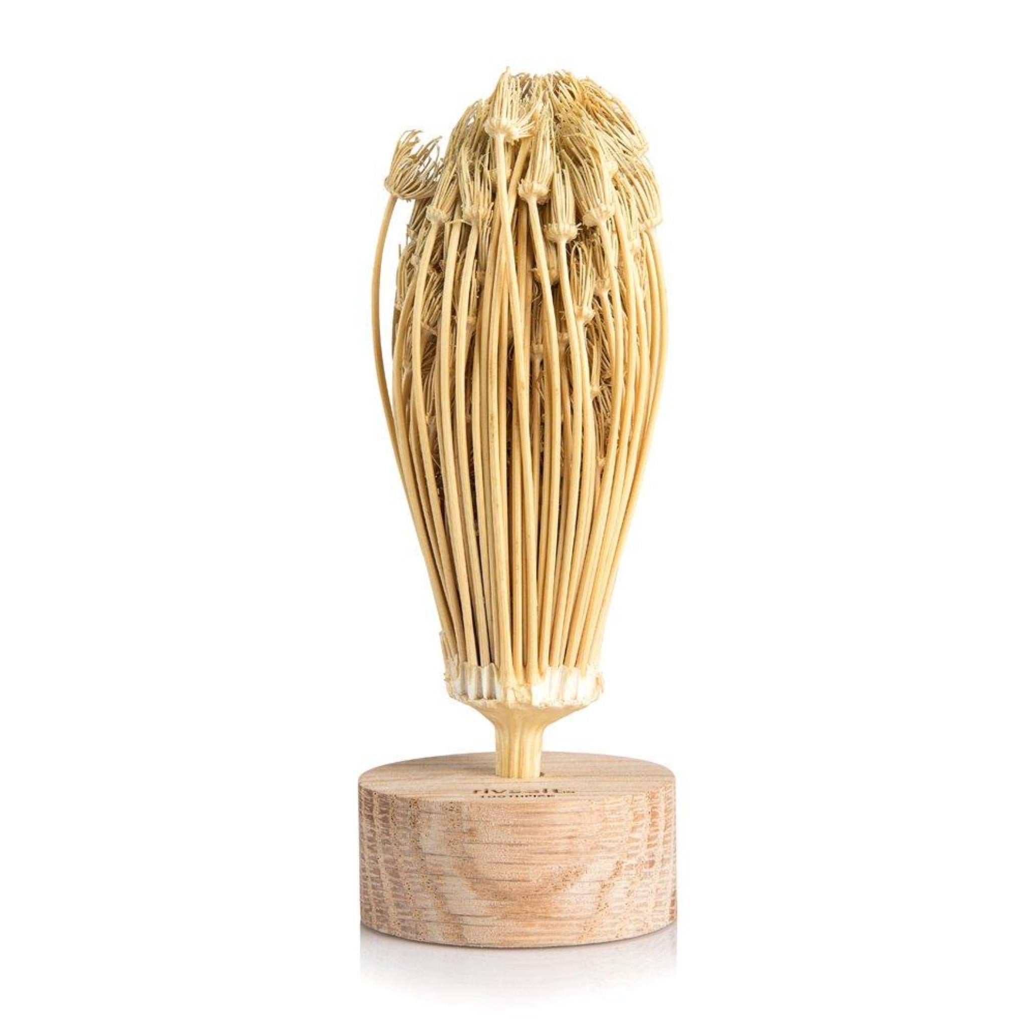 TOOTHPICK