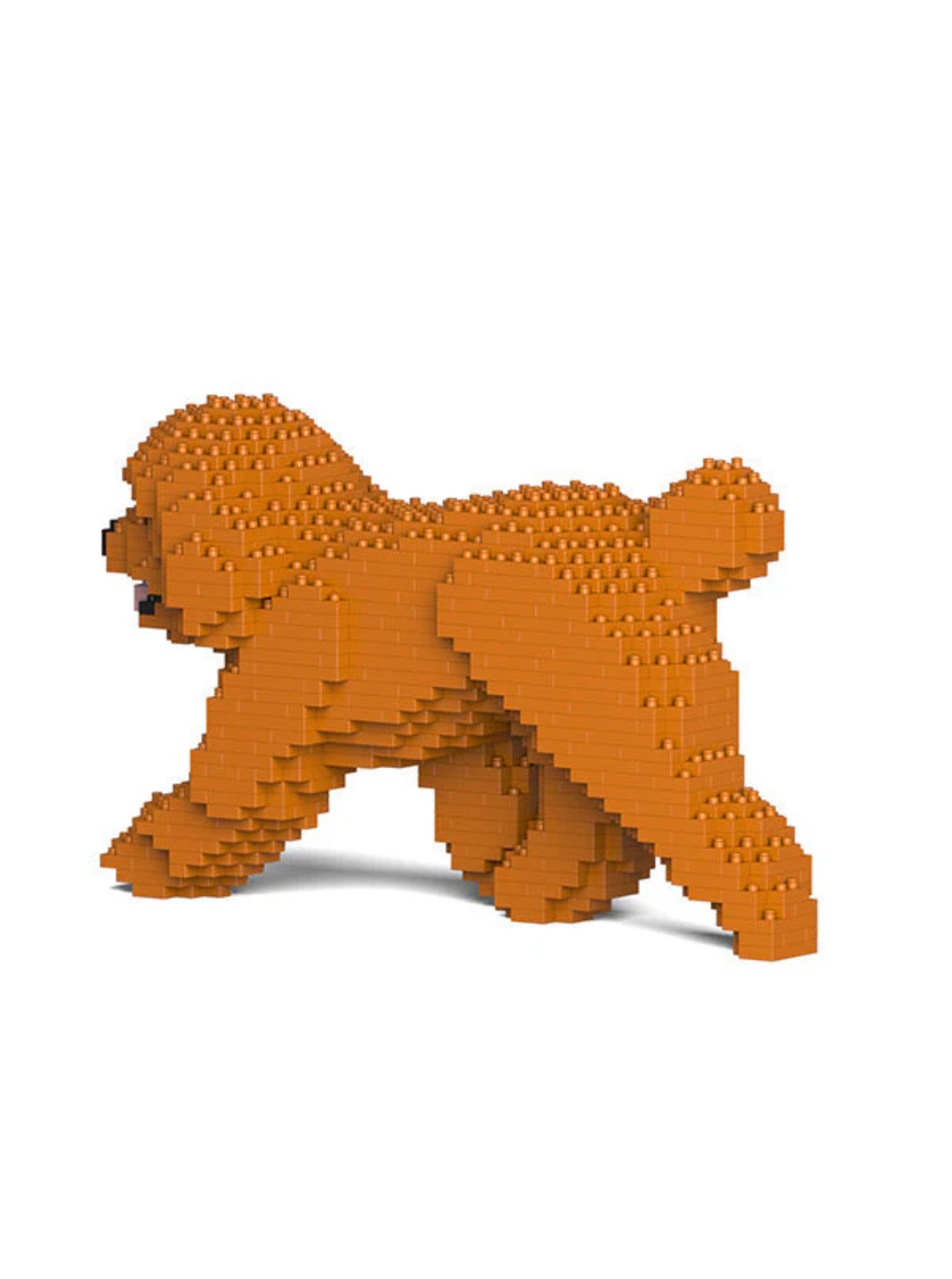 Toy Poodle 02-M04 Building Block Model – Realistic Dog Construction Set | Jekca
