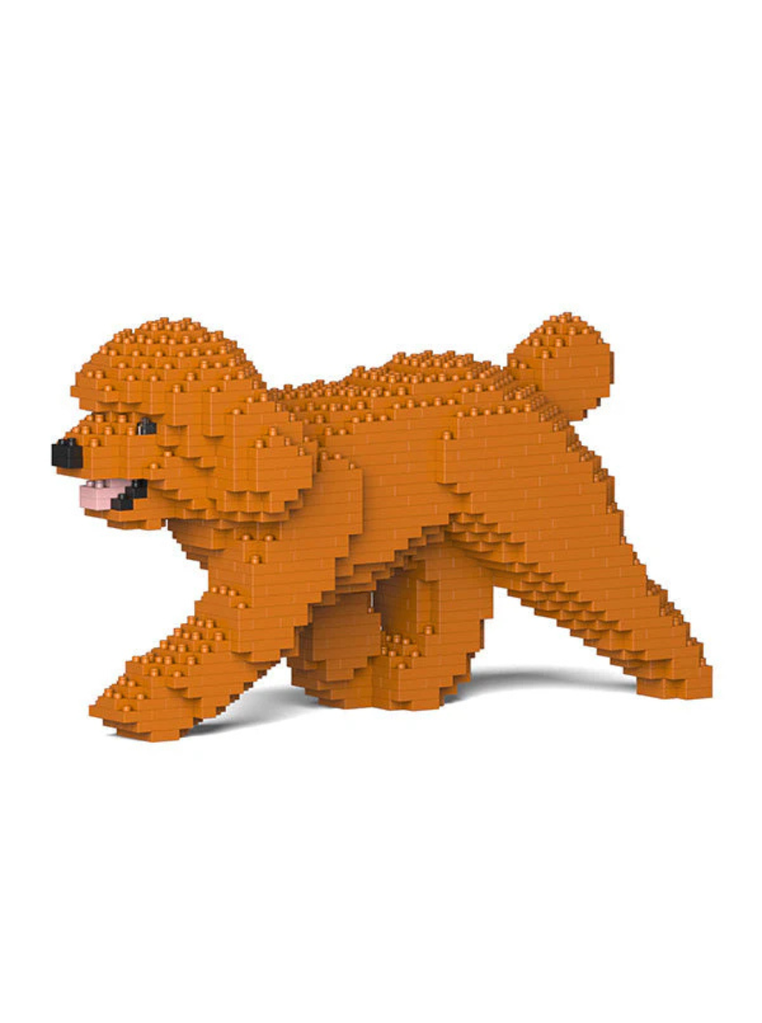 Toy Poodle 02-M04 Building Block Model – Realistic Dog Construction Set | Jekca