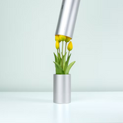 A.D.2084 Memories of Tulip Scent Giallo – Sottovaso Profumato | Nodito