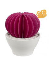 Diffusore Cactus Hot Pink