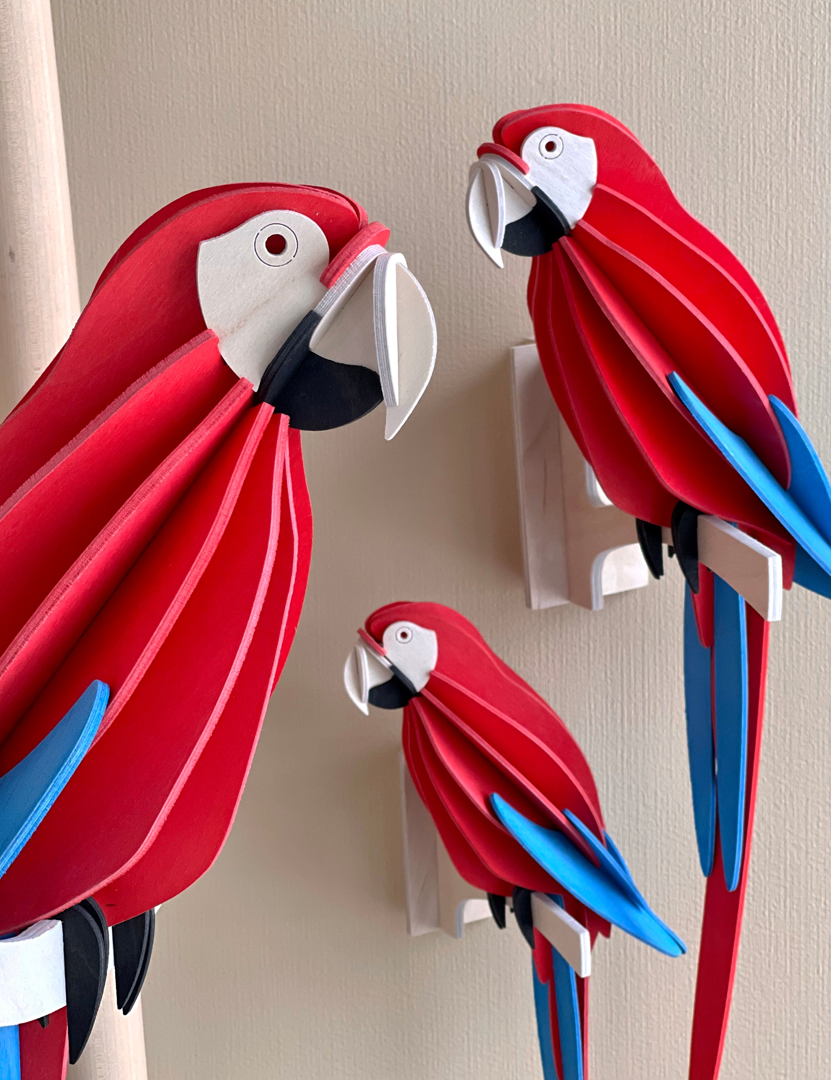 A_Flock_of_Lovi_Parrot_Red_-_Scarlet_Macaw.jpg