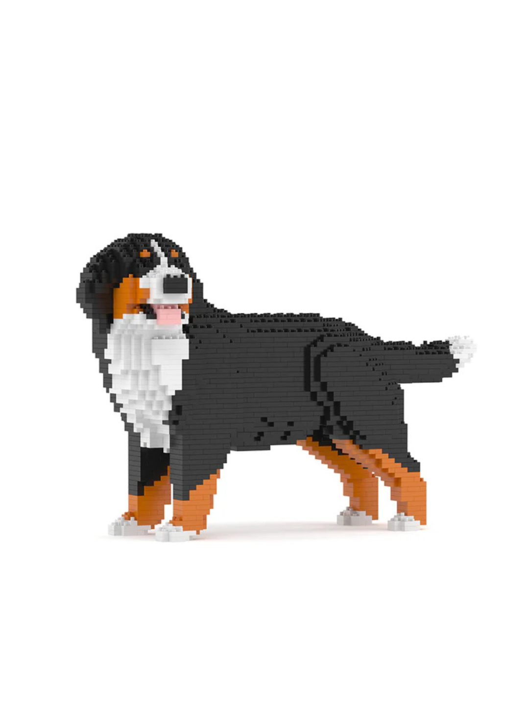 Bernese Mountain Dog 03S Building Block Model – Realistic Dog Construction Set | Jekca