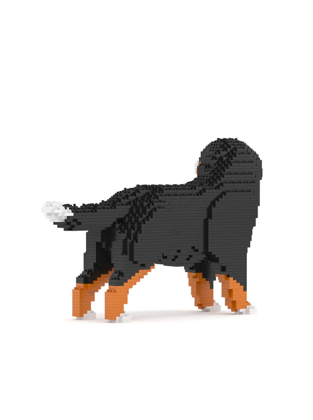 Bernese Mountain Dog 03S Building Block Model – Realistic Dog Construction Set | Jekca