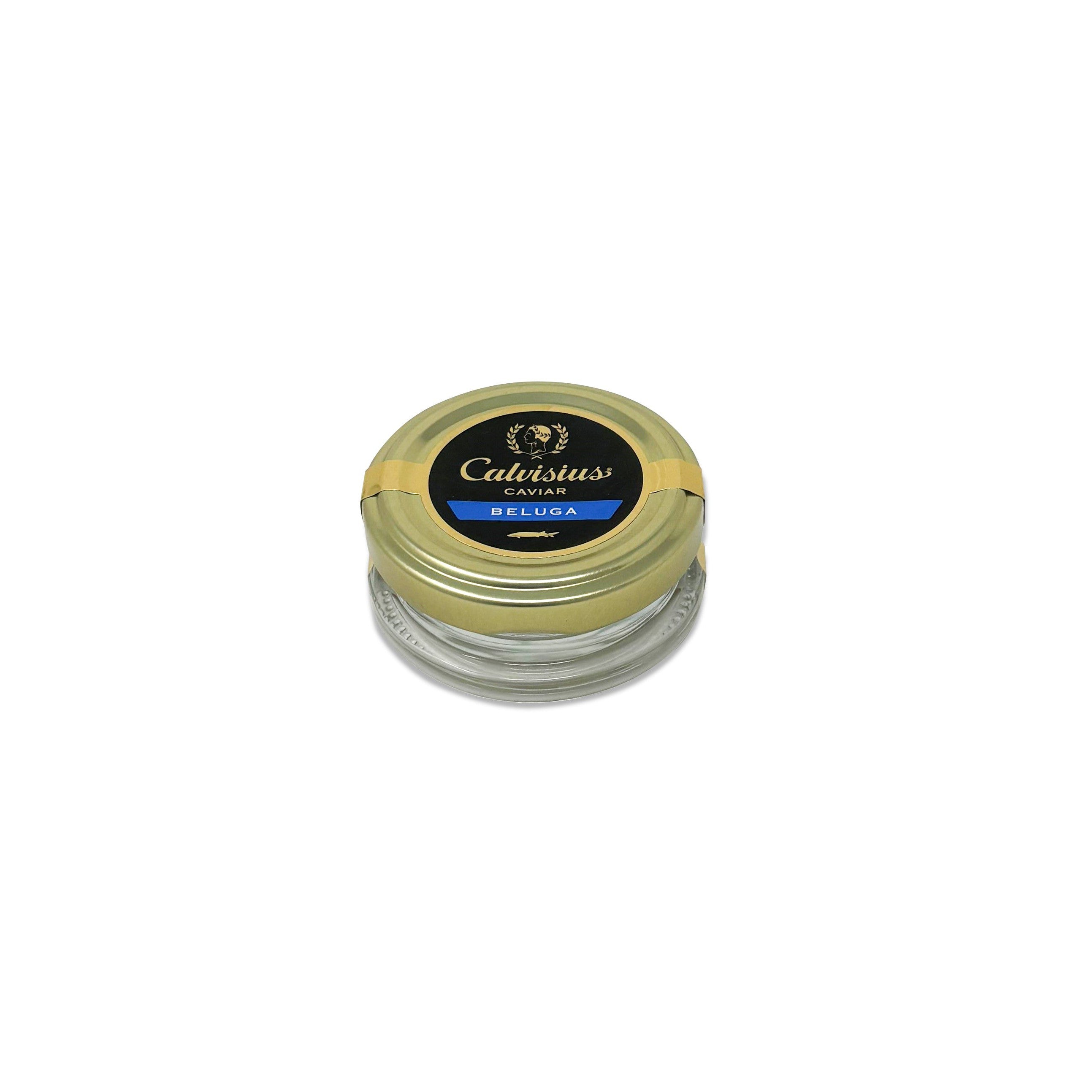 Calvisius_Beluga.jpg