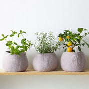 Flower Pot 16 M – Vaso in lana impermeabile design | Aveva