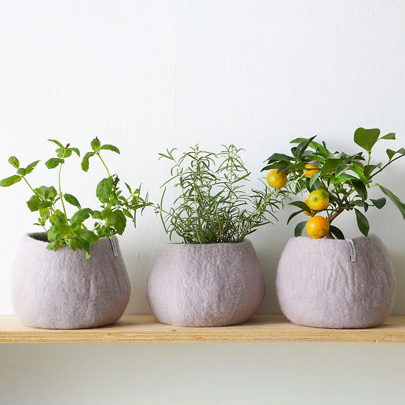 Flower Pot 16 M – Vaso in lana impermeabile design | Aveva