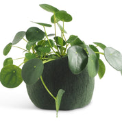 Flower Pot 16 M – Vaso in lana impermeabile design | Aveva