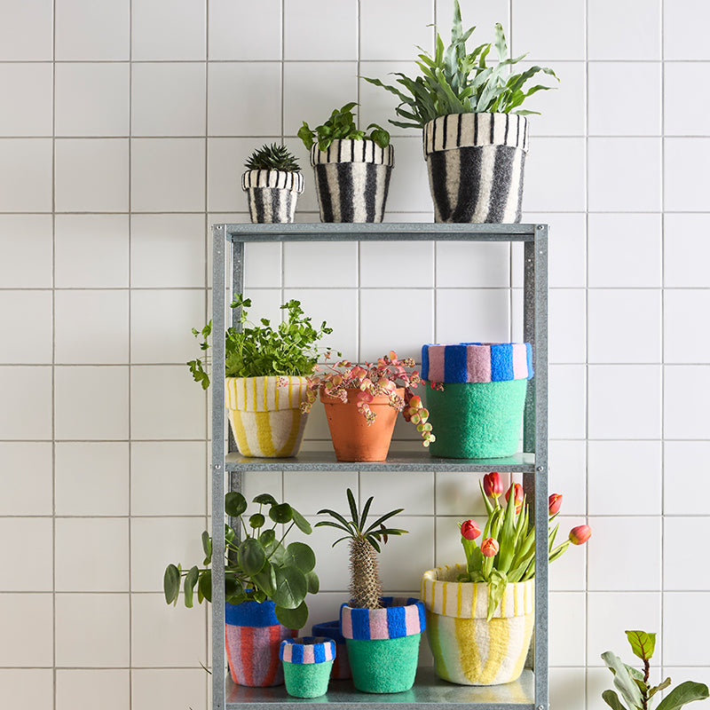 Flower Pot 20 S – Vaso in lana impermeabile design | Aveva