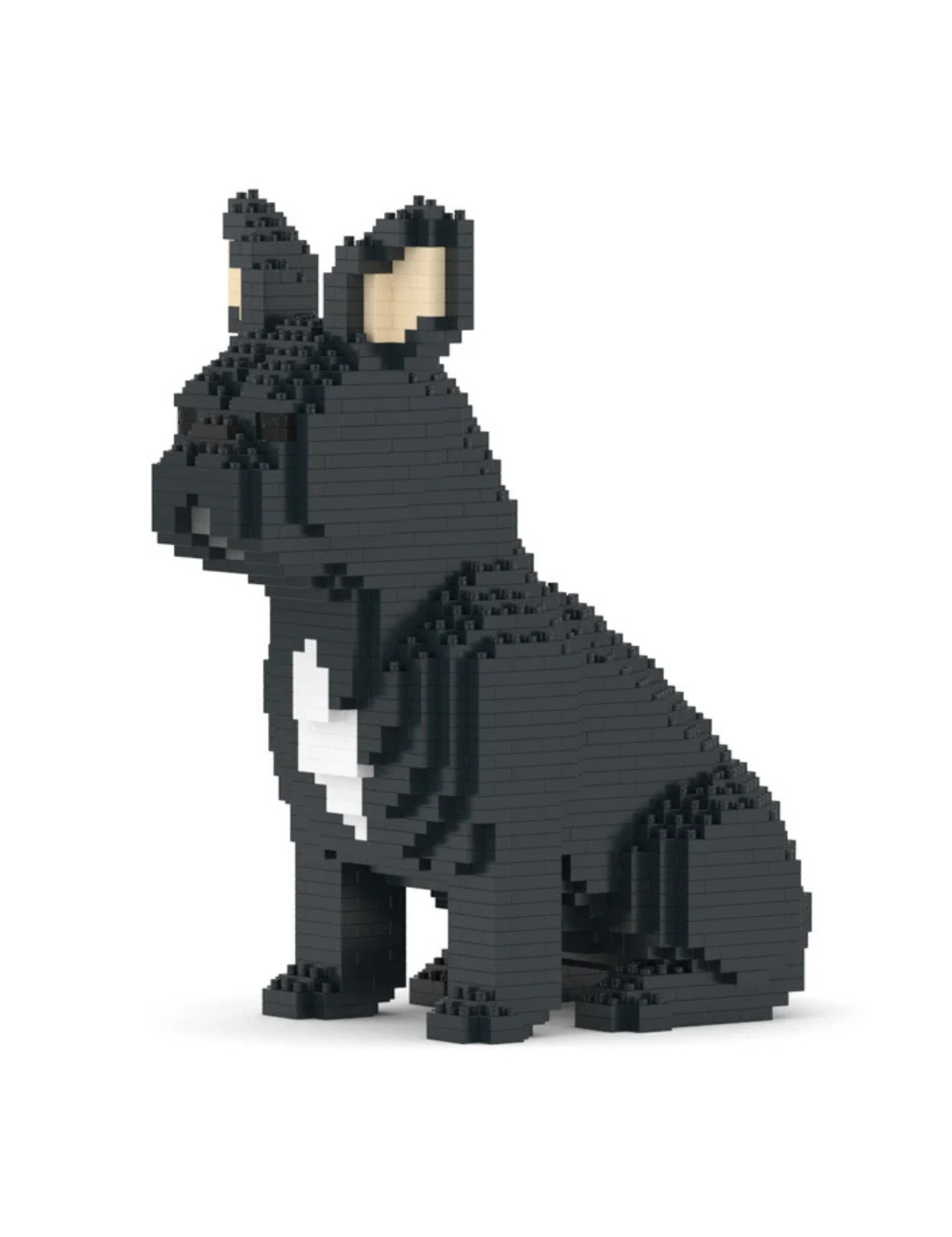 FrenchBulldog04S-M03_3.png
