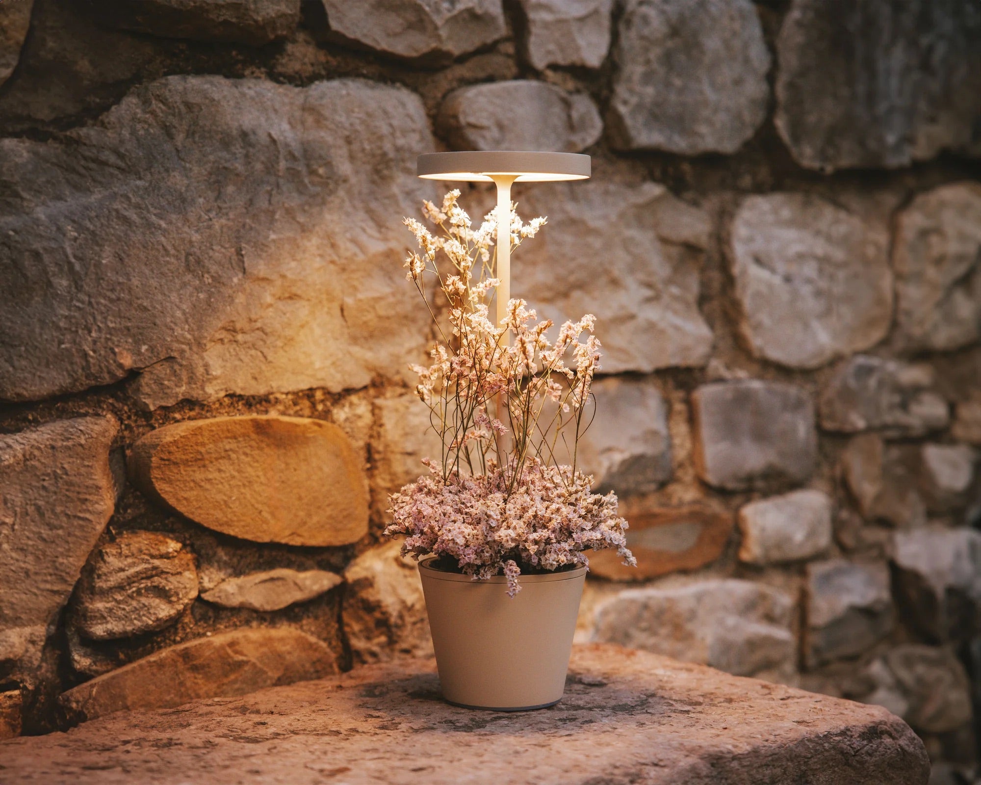 Illuminazione_PLP-Collezione_Poldina_Reverso.jpg