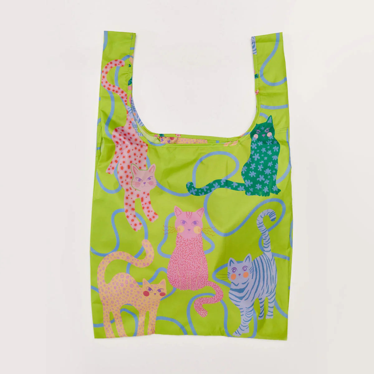 Lime-arty-cats_jpg.webp
