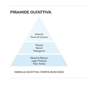 Gocce asciugatrice - Brezza