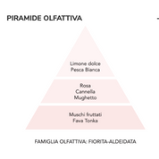 La Molecola Spray Tessuti Diamante Rosa – agrumato, fiorito e vellutato su seta e cachemire – Mami Milano
