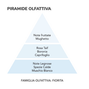 La Molecola Spray Tessuti Fiori Bianchi – neutralizza odori e regala note fruttate e floreali – Mami Milano