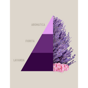 Profuma Bucato Aromatic Lavender – Essenza Concentrata 50/250/500ml con Fragranza di Lavanda Intensa | Horomia