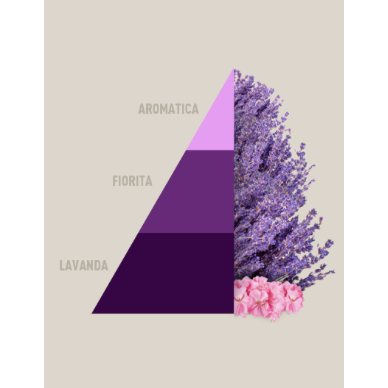 Profuma Bucato Aromatic Lavender – Essenza Concentrata 50/250/500ml con Fragranza di Lavanda Intensa | Horomia