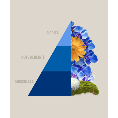 Profuma Bucato Blue – Essenza Concentrata 50/250/500ml con Fragranza Fresca e Persistente | Horomia