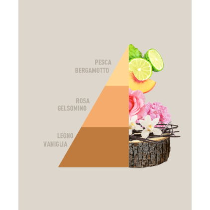 Profuma Bucato Vento d’Oriente – Essenza Concentrata 50/250/500ml con Fragranza Orientale e Intensa | Horomia