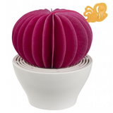Diffusore Cactus Hot Pink