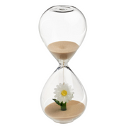 Clessidra Galbiati Milano Flow – vetro borosilicato soffiato a bocca con Margherita 15mn