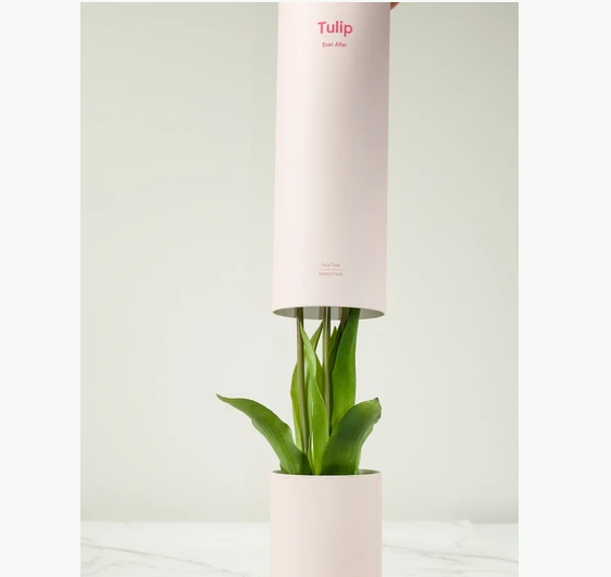 Tulip Ever After Arancione – Diffusore Ambiente con Tulipani Artificiali Realistici, Vaso Rosa Pastello e Fragranza Elegante – Nodito