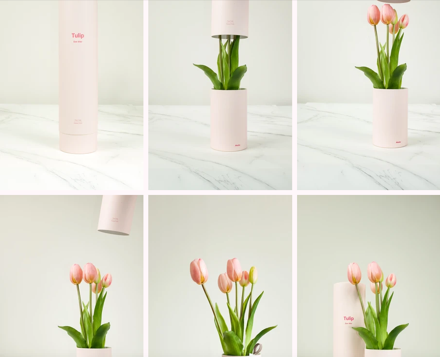 Tulip Ever After Rosa – Diffusore Ambiente con Tulipani Artificiali Realistici, Vaso Rosa Pastello e Fragranza Elegante – Nodito